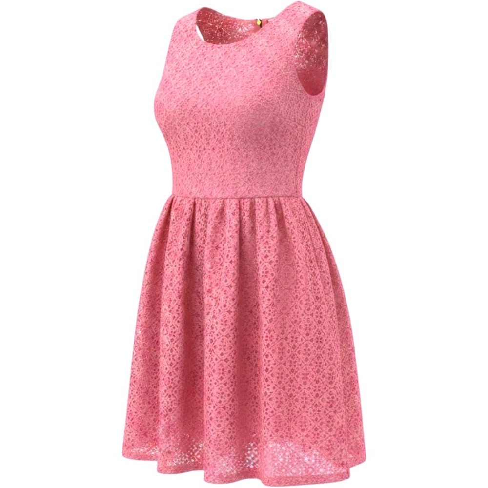 LOFT Petites Coral Pink Lace Sleeveless Fit and Flare Dress Size 6P Exposed Zip